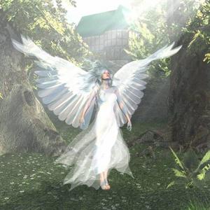 LE DESIR, LA TENDRESSE, L'AMOUR.....